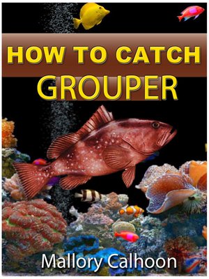 cover image of How To Catch Grouper